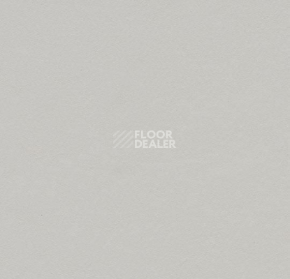 Линолеум Forbo Marmoleum Decibel on Order 336935 titanium фото 1 | FLOORDEALER